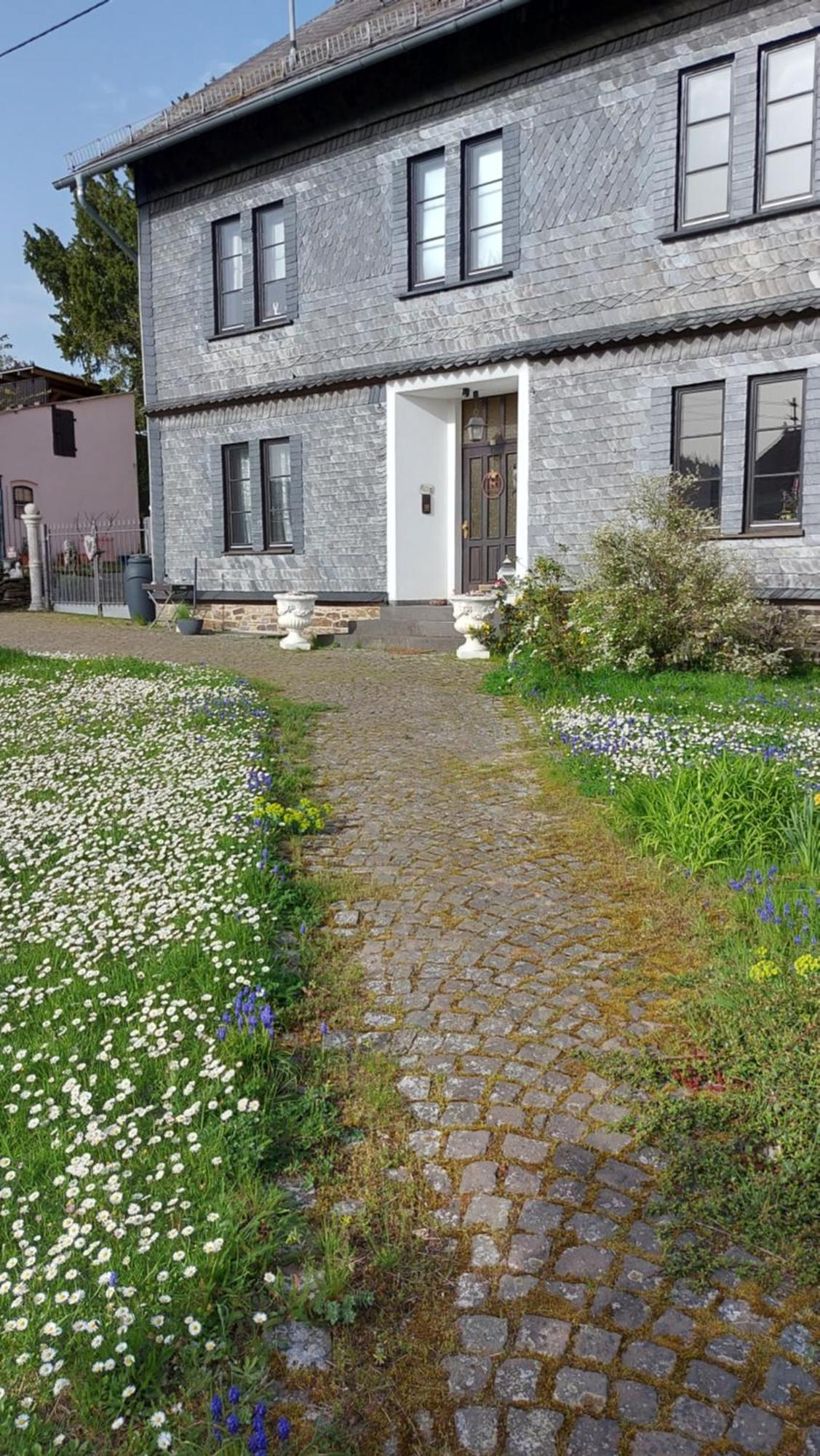 Zum Alten Pfarrhaus Damscheid 外观 照片